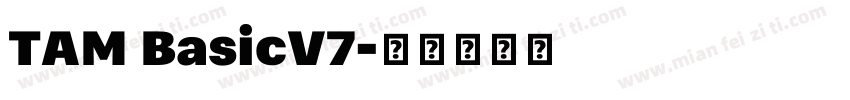 TAM BasicV7字体转换